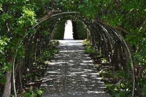 carrick hill 2014 (107)